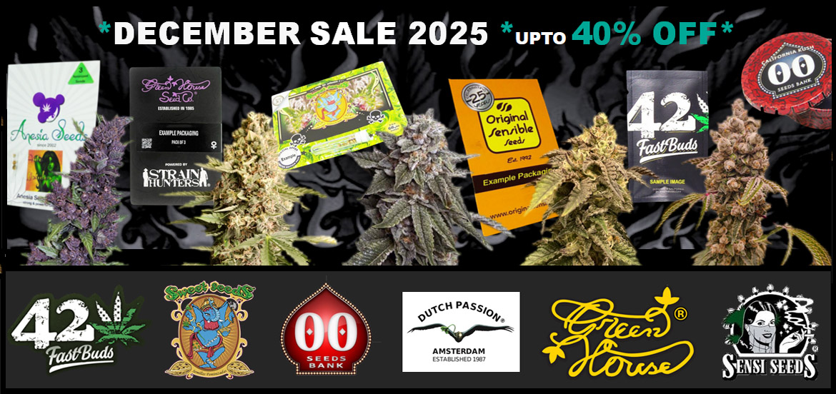 Cannabis Seeds Discount Sale on Strains by Dutch Passion, Terp Treez, Tastebudz, Anesia, Big Buddha Seeds, Mavericks, Narcos and Original Sensible Marijuana Strains Cheapest Seeds Online Desktop December 2025